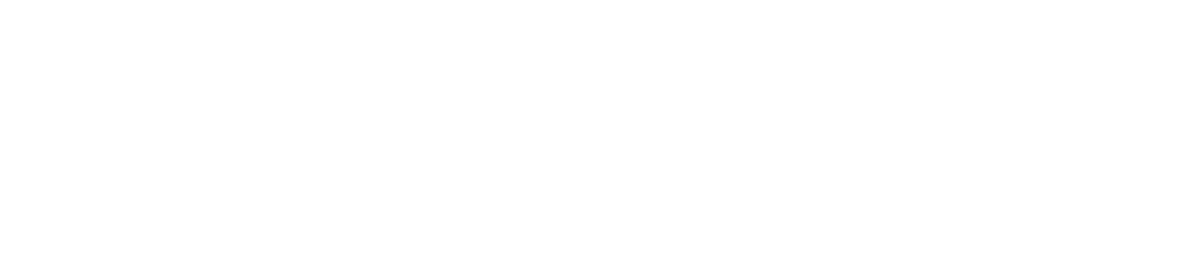 1095x237 - Sage Reversed Group + Embedded Expertise