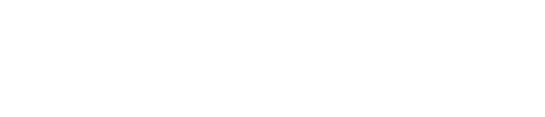 1095x237 - Sage Reversed Group + Embedded Expertise
